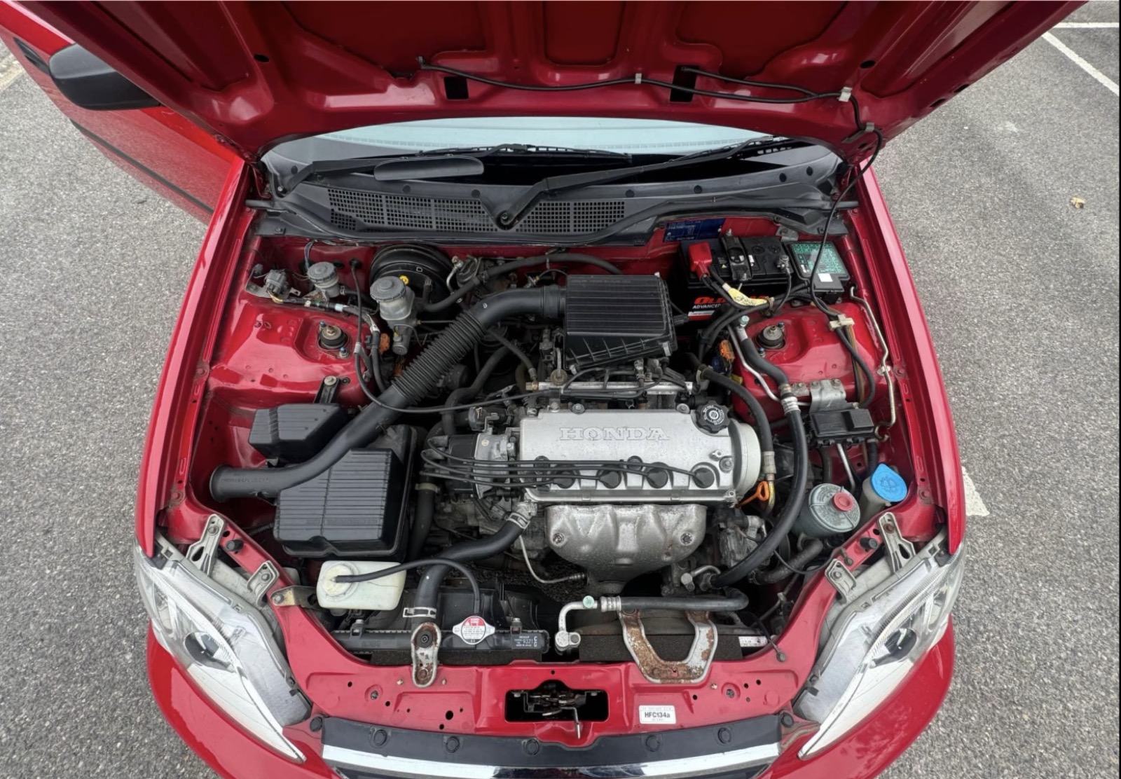 The stock D-series engine bay of the Civic EK, completely untouched